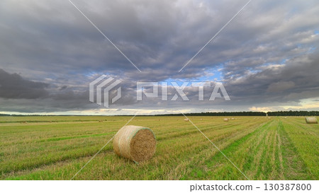 A Serene Agricultural Landscape Featuring Hay Bales Set Against Dramatic, Rolling Clouds A Serene Agricultural Landscape Featuring Hay Bales Set Against Dramatic, Rolling Clouds 130387800