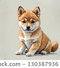 Illustration of a Shiba Inu puppy sitting and looking at you 130387936