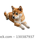 Cutout illustration of a Shiba Inu puppy lying down and relaxing 130387937
