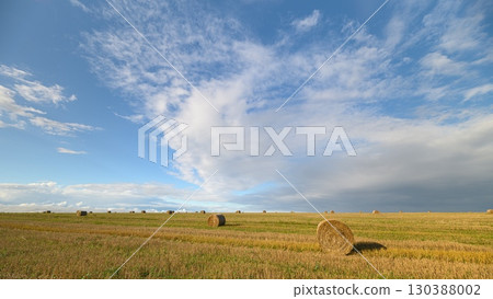 Beautiful and Tranquil Field Landscapes Under a Vast and Expansive Blue Sky Above 130388002