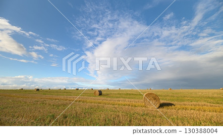 A Vast and Expansive Agricultural Field Spreads Out Beneath a Beautiful and Clear Sky Above A Vast and Expansive Agricultural Field Spreads Out Beneath a Beautiful and Clear Sky Above 130388004