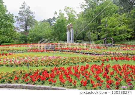 Early summer botanical garden 130388274