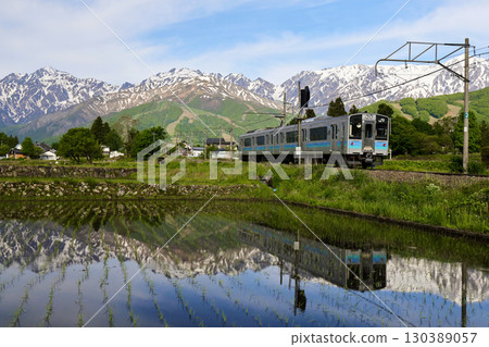 Hakuba mountain range reflected in rice paddies 130389057