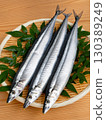 Raw saury 130389249