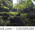 Mossy boulders shining in sunlight filtering through the trees 130389280