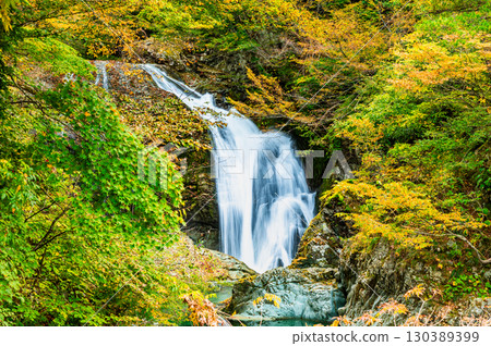 Autumn leaves at Sekiyama Falls in Yamagata 130389399