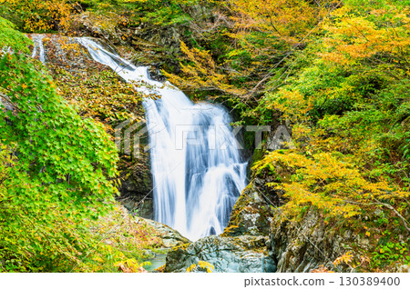 山形縣關山瀑布的紅葉 130389400