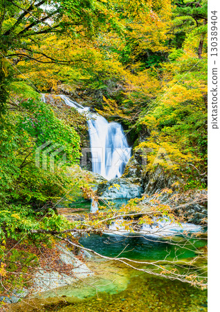山形縣關山瀑布的紅葉 130389404