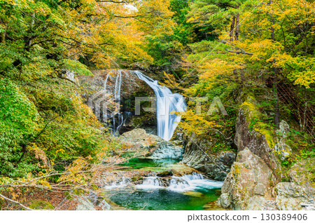 山形縣關山瀑布的紅葉 山形縣關山瀑布的紅葉 130389406