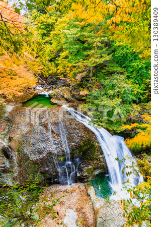 山形縣關山瀑布的紅葉 山形縣關山瀑布的紅葉 130389409