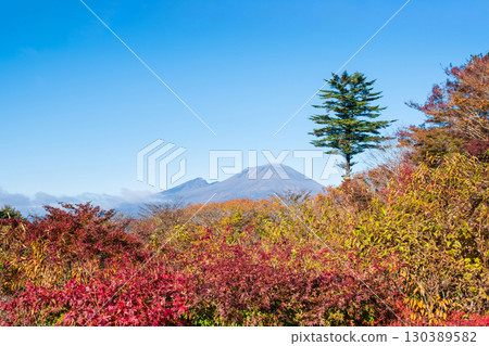 Old Usui Pass Observation Deck (Autumn): Overlooking Mount Asama 130389582