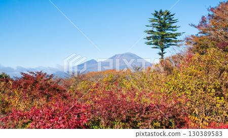 Old Usui Pass Observation Deck (Autumn): Overlooking Mount Asama Old Usui Pass Observation Deck (Autumn): Overlooking Mount Asama 130389583