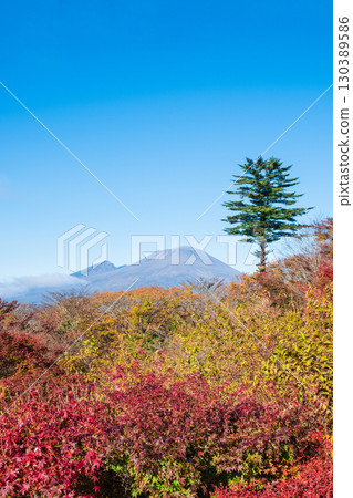 舊碓冰嶺展望台（秋季）：眺望淺間山 130389586
