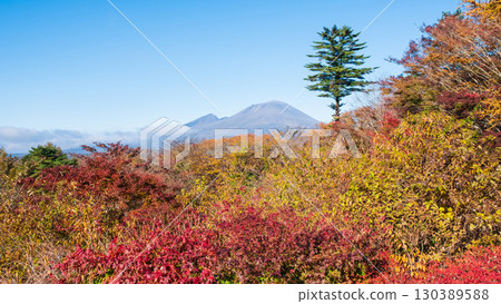 舊碓冰嶺展望台（秋季）：眺望淺間山 130389588