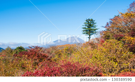舊碓冰嶺展望台（秋季）：眺望淺間山 130389590