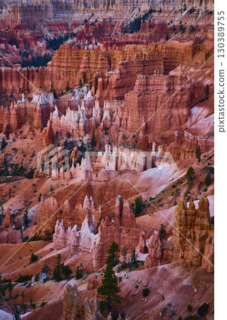 Bryce Canyon Hoodoo Formations at Sunrise with Golden Hour Light and Pine Trees 130389755