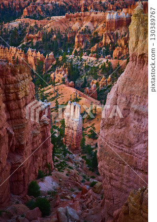 Bryce Canyon Hoodoo Formations and Pine Trees in Utah Canyon Landscape 130389767