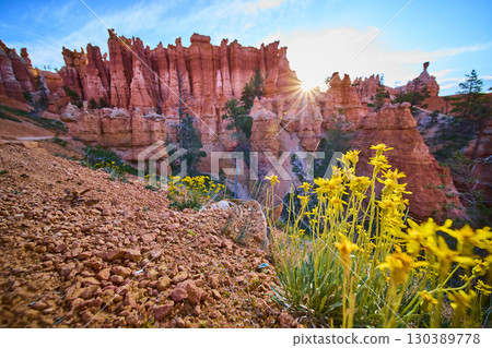 Bryce Canyon Hoodoos Wildflowers and Sunburst on Queens Garden Navajo Loop Trail Bryce Canyon Hoodoos Wildflowers and Sunburst on Queens Garden Navajo Loop Trail 130389778