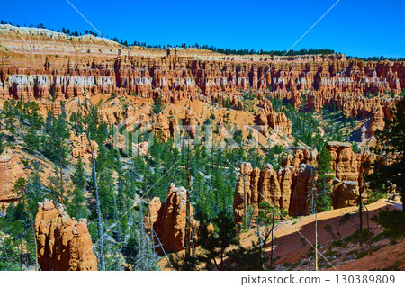 Bryce Canyon Hoodoo Rock Formations and Evergreen Trees Under Clear Blue Sky 130389809