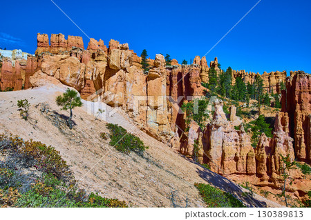 Hoodoo Rock Formations and Pine Trees in Bryce Canyon National Park Utah Hoodoo Rock Formations and Pine Trees in Bryce Canyon National Park Utah 130389813