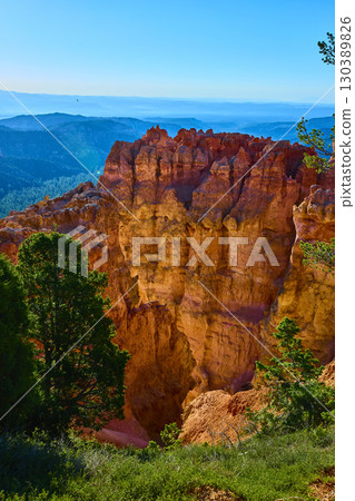 Bryce Canyon Hoodoos and Pines at Agua Canyon Overlook Utah Scenic Drive 130389826