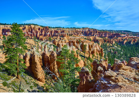 Bryce Canyon Hoodoos and Pine Trees Under Blue Sky in Utah National Park 130389828