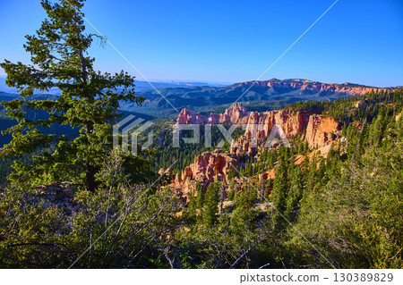Bryce Canyon Red Rock Formations and Pine Trees Under Clear Blue Sky 130389829