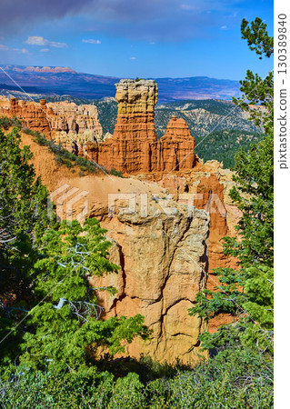 Bryce Canyon Hoodoos and Pine Trees at Agua Canyon Overlook Scenic View Bryce Canyon Hoodoos and Pine Trees at Agua Canyon Overlook Scenic View 130389840