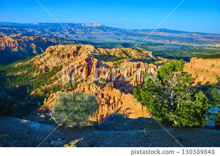 Bryce Canyon Hoodoos and Trees at Sunset from Bryce Point Utah Scenic Vista Bryce Canyon Hoodoos and Trees at Sunset from Bryce Point Utah Scenic Vista 130389848