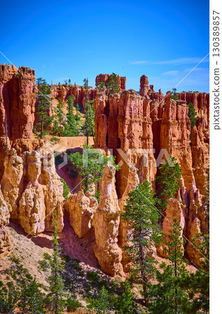 Bryce Canyon Hoodoos and Pine Trees Under Clear Blue Sky in Utah 130389857