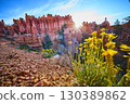 Bryce Canyon Hoodoos Wildflowers and Sunburst in Vibrant Utah Landscape 130389862