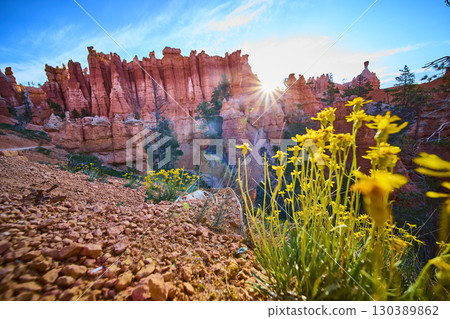 Bryce Canyon Hoodoos Wildflowers and Sunburst in Vibrant Utah Landscape Bryce Canyon Hoodoos Wildflowers and Sunburst in Vibrant Utah Landscape 130389862