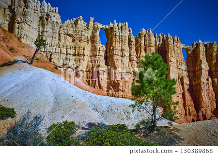 Bryce Canyon Hoodoo Wall of Windows Lone Tree and Peekaboo Loop Trail Utah Bryce Canyon Hoodoo Wall of Windows Lone Tree and Peekaboo Loop Trail Utah 130389868