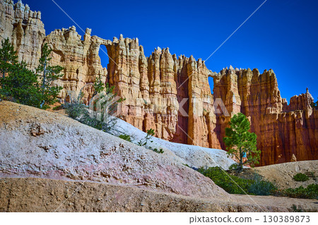 Bryce Canyon Hoodoo Rock Formations Wall of Windows Pine Trees Utah Bryce Canyon Hoodoo Rock Formations Wall of Windows Pine Trees Utah 130389873