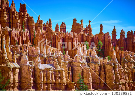 Hoodoo Rock Formations and Pine Trees in Bryce Canyon National Park Utah Hoodoo Rock Formations and Pine Trees in Bryce Canyon National Park Utah 130389881