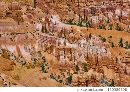 Hoodoos and Eroded Rock Formations with Pine Trees in Vibrant Canyon Landscape 130389898