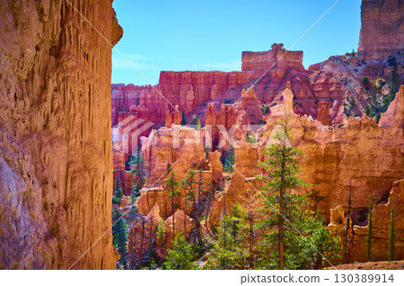 Bryce Canyon Hoodoos and Sandstone Formations with Pine Trees in Bright Daylight 130389914