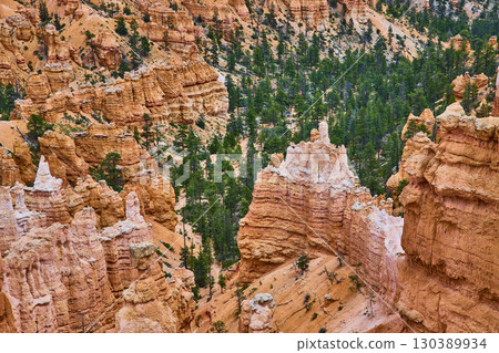Bryce Canyon Hoodoo Rock Formations and Pine Trees at Sunrise Point Utah 130389934