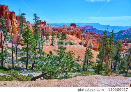 Bryce Canyon Red Rock Hoodoos and Pine Trees Along Peekaboo Loop Trail Utah 130389937