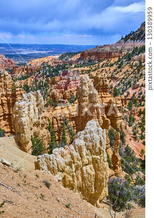 Bryce Canyon National Park Hoodoo Formations and Pine Trees Utah Landscape 130389959