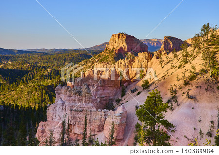 Bryce Canyon National Park Hoodoos Pine Forest and Sandstone Cliffs at Sunset 130389984