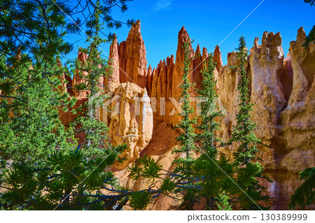 Hoodoos and Pine Trees Against Blue Sky in Bryce Canyon National Park Utah Hoodoos and Pine Trees Against Blue Sky in Bryce Canyon National Park Utah 130389999