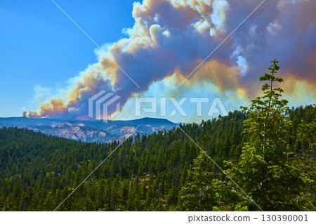 Forest Fire Smoke Plume Over Pine Forest and Mountain Landscape Under Blue Sky 130390001