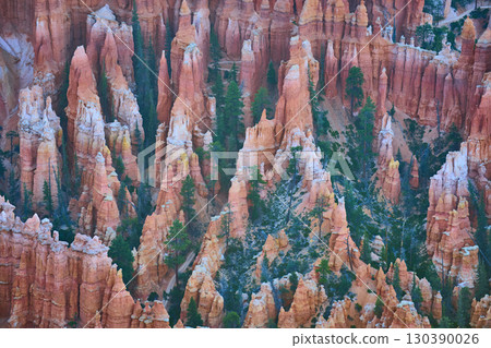 Bryce Canyon Hoodoos and Pine Trees from High Perspective in Utah 130390026