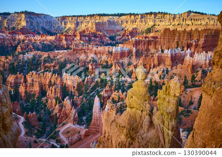 Bryce Canyon Hoodoos Pine Forest and Winding Trail in Vibrant Morning Light 130390044
