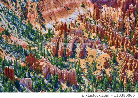 Bryce Canyon Hoodoos and Pine Trees from Bryce Point in Bright Sunlight 130390060