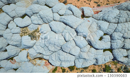 Aerial White Sandstone Formations and Desert Vegetation Top Down View 130390083