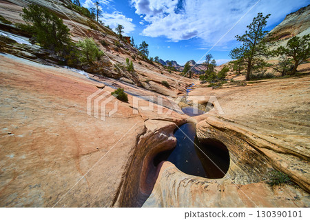 Sandstone Pools and Juniper Trees Zion National Park Eye Level Perspective Sandstone Pools and Juniper Trees Zion National Park Eye Level Perspective 130390101