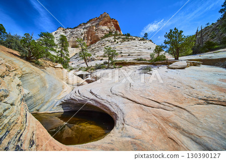 Sandstone Formations Natural Pool and Juniper Trees Many Pools Trail Upward View Sandstone Formations Natural Pool and Juniper Trees Many Pools Trail Upward View 130390127