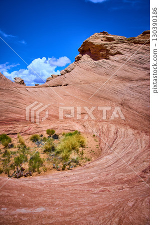 Curved Red Sandstone Formations with Desert Vegetation and Blue Sky Low Angle Curved Red Sandstone Formations with Desert Vegetation and Blue Sky Low Angle 130390186